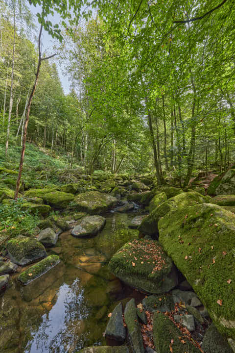 Gemeinde Waldkirchen Landkreis Freyung-Grafenau Saußbachklamm (Dirschl Johann) Deutschland FRG